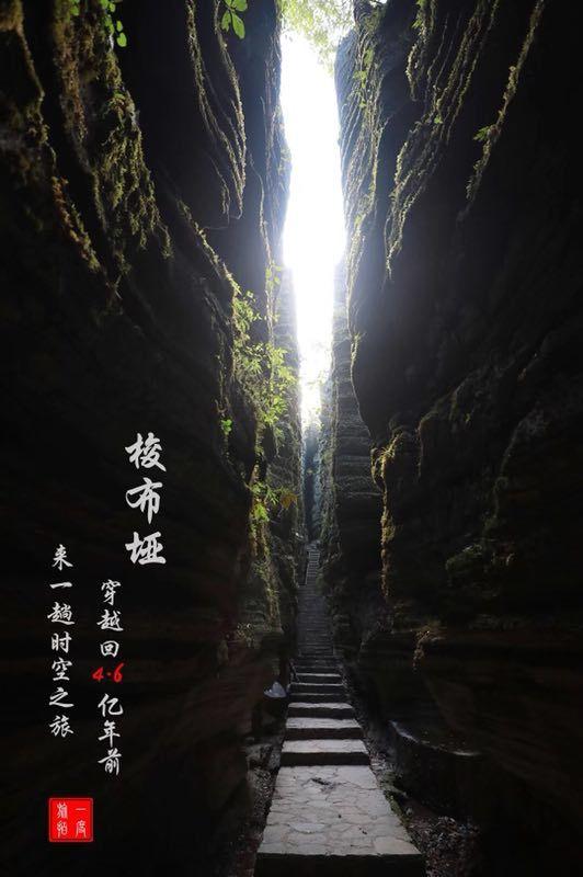 这几天不知道怎么了。突然很想念地藏王本愿经了。想为去世的爸爸做点什么游戏画面
